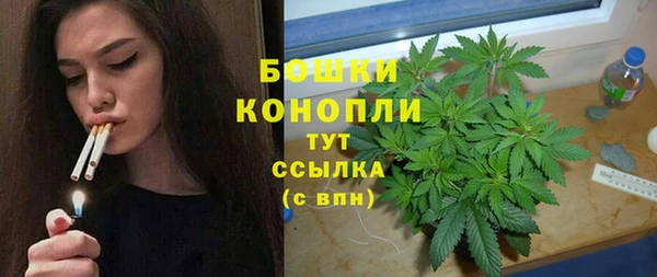 прущие грибы Корсаков