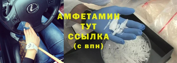 прущие грибы Корсаков