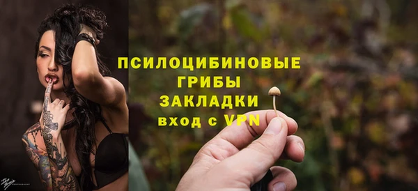 прущие грибы Корсаков