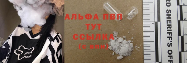 хмурый Новозыбков