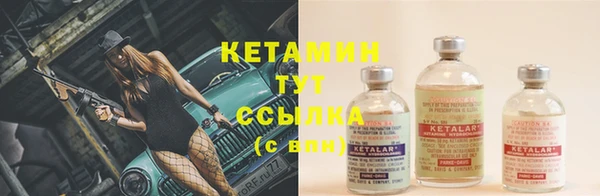 прущие грибы Корсаков