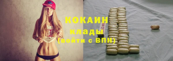индика Краснотурьинск
