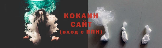 индика Краснотурьинск