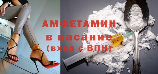 прущие грибы Корсаков