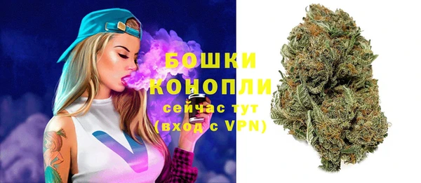 молекула духа Новокубанск