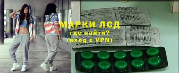 индика Краснотурьинск