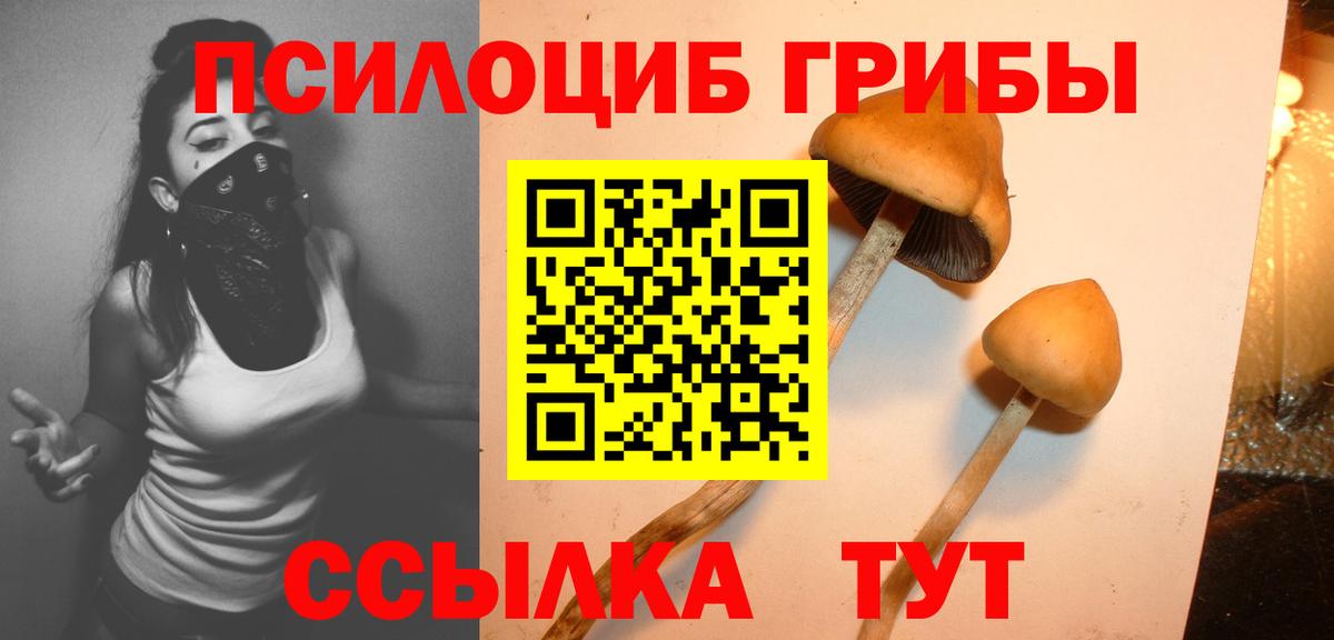 купить закладку  Вход с VPN  Костомукша  Галлюциногенные грибы мицелий 