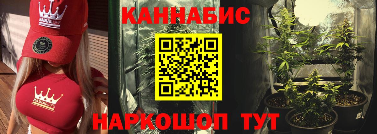 Костомукша  Марихуана Amnesia  Бошки Шишки VHQ  Вход с VPN 